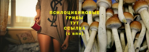 винт Абаза