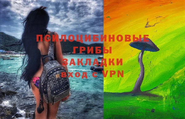 винт Абаза
