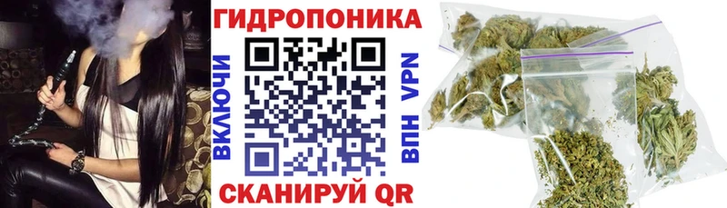 ссылка на мегу рабочий сайт  Щёлкино  Каннабис ГИДРОПОН  дарнет шоп 